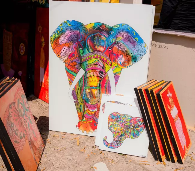 elephant painting on kalapola event